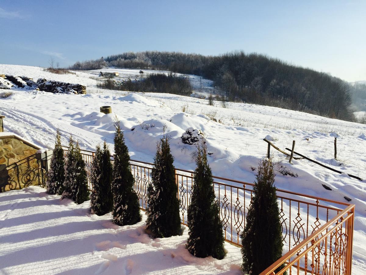 פוליאנה Mini Hotel Solnce Karpat מראה חיצוני תמונה