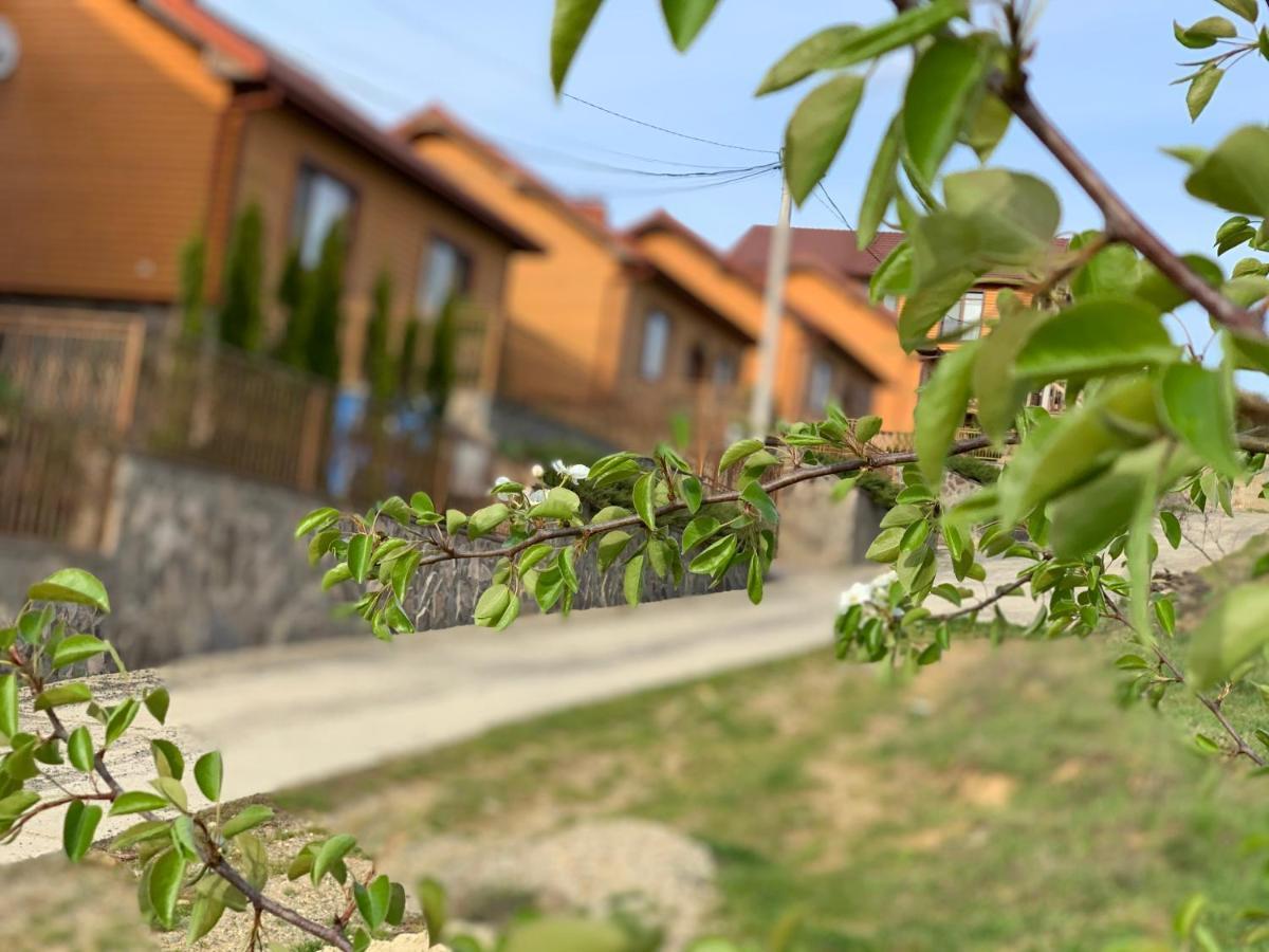 פוליאנה Mini Hotel Solnce Karpat מראה חיצוני תמונה